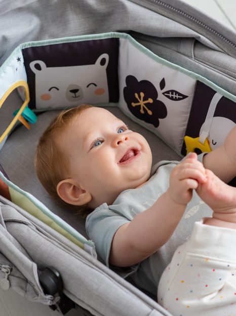 img-אקשן בעגלה: אלו הצעצועים שהכי מתאימים לעגלת התינוק