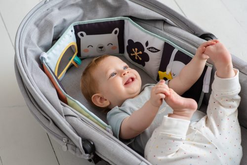 משחקי פעילות לתינוק צעצועי התפתחות סגל בייבי טף טויס