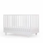 cambrige bed - segal